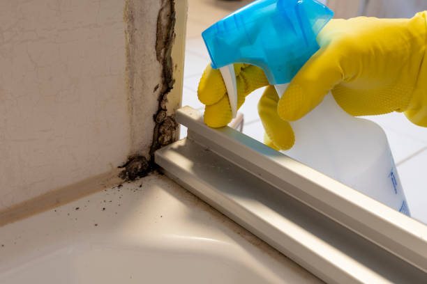 Best Residential Mold Removal  in Grandview, OK