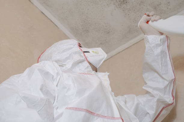Office Mold Removal Services in Grandview, OK