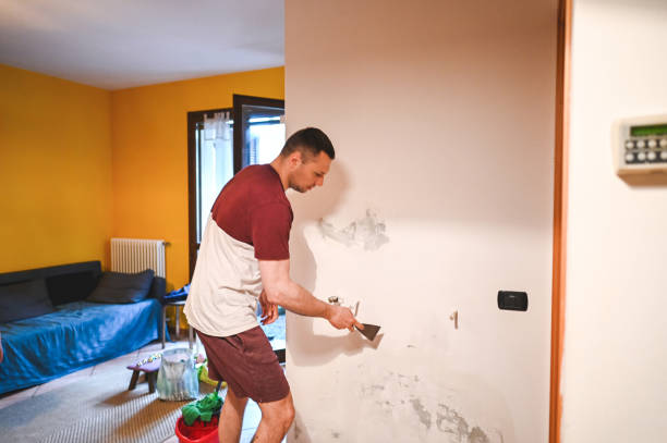 Best Office Mold Removal Services  in Grandview, OK