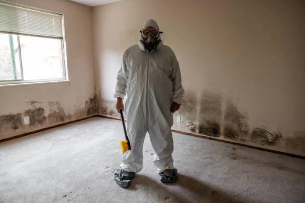Best Certified Mold Removal  in Grandview, OK