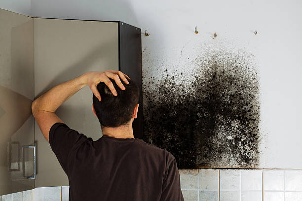 Best Commercial Mold Removal  in Grandview, OK