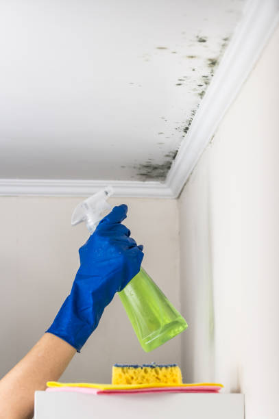 Best Water Damage Restoration  in Grandview, OK